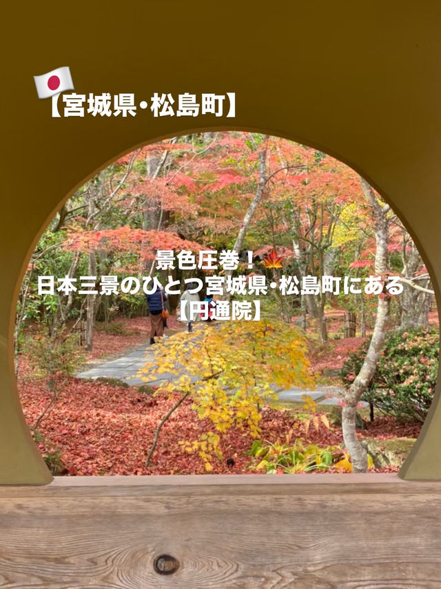 【宮城県･松島町】景色が素敵な円通院🍁