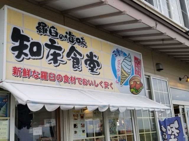 【北海道】羅臼の知床食堂で味わう新鮮な海の幸と地域の歴史