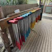 Mini Golf at Maru Koala and Animal Park：家庭樂趣的最佳選擇 ⛳🐨