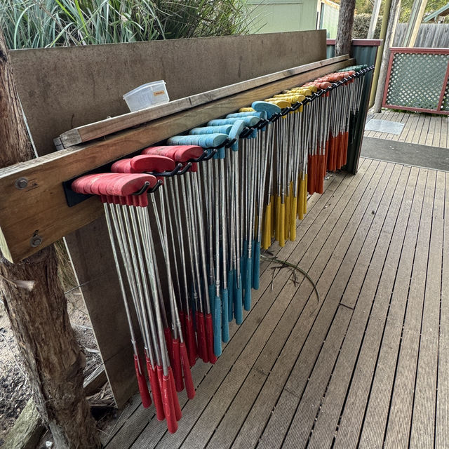 Mini Golf at Maru Koala and Animal Park：家庭樂趣的最佳選擇 ⛳🐨