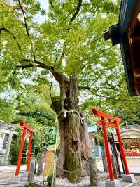 【東京都】大田区で、たくさんの狐が守護する神社