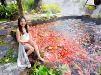 ป้าบุญคาเฟ่ 