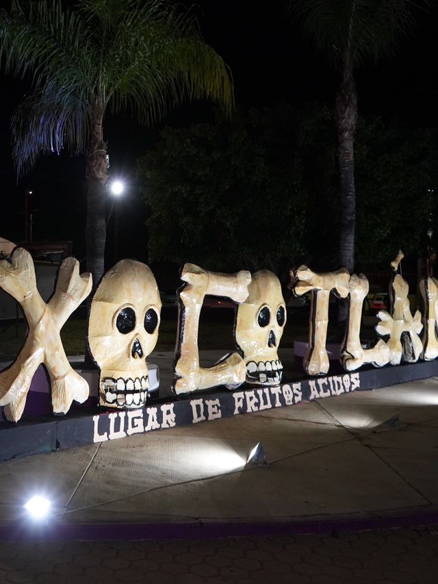 メキシコ｜死ぬまでに一度行きたいメキシコの死者の日へ行ってきた
