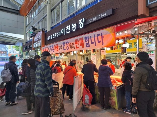 【京東市場:ソウル,韓国】地元の方が利用するローカル市場✨