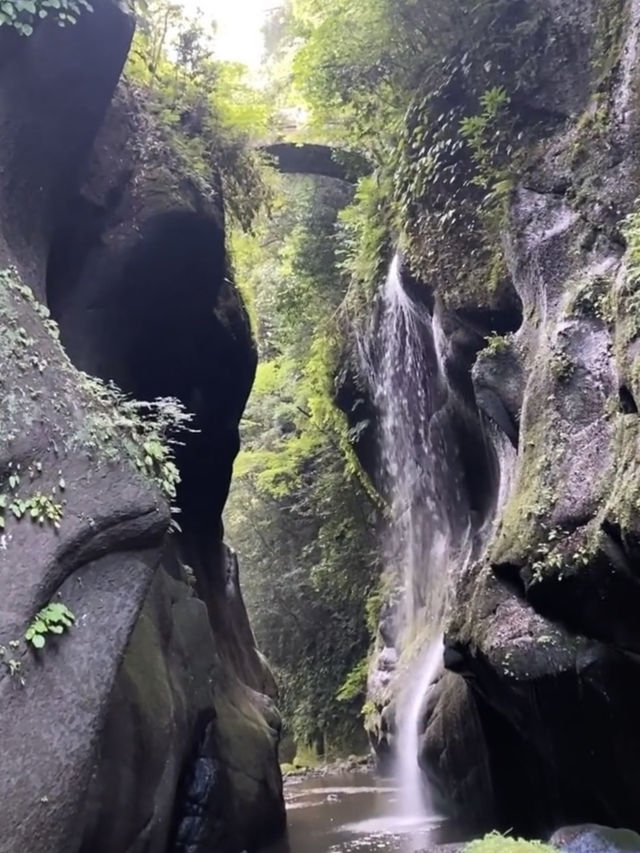 大分｜高千穂に負けない絶景が由布にもあった！