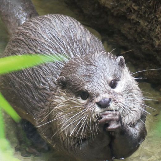 動物園系列（一）～上野動物園