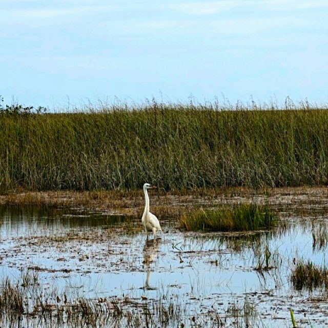VISITING THE EVERGLADES NATIONAL PARK.