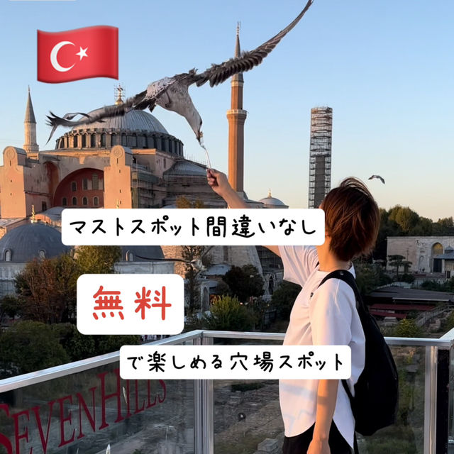 【トルコ】イスタンブールの無料！穴場かつマストスポット紹介！