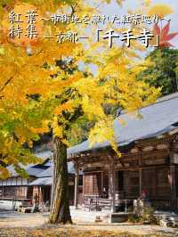 【ここ行って】本当は教えたくない🙅眺めもいい🤩山の上で見るイチョウ✨