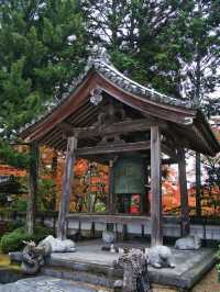 【ここ行って】紅葉の道が美しい✨奈良時代開創の無料で楽しめる紅葉スポット🍁