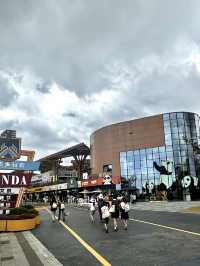 ไปเที่ยว Chengdu Research Base of Giant Panda Bree