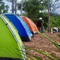 Camping in the Wild Jungle of Phuket 