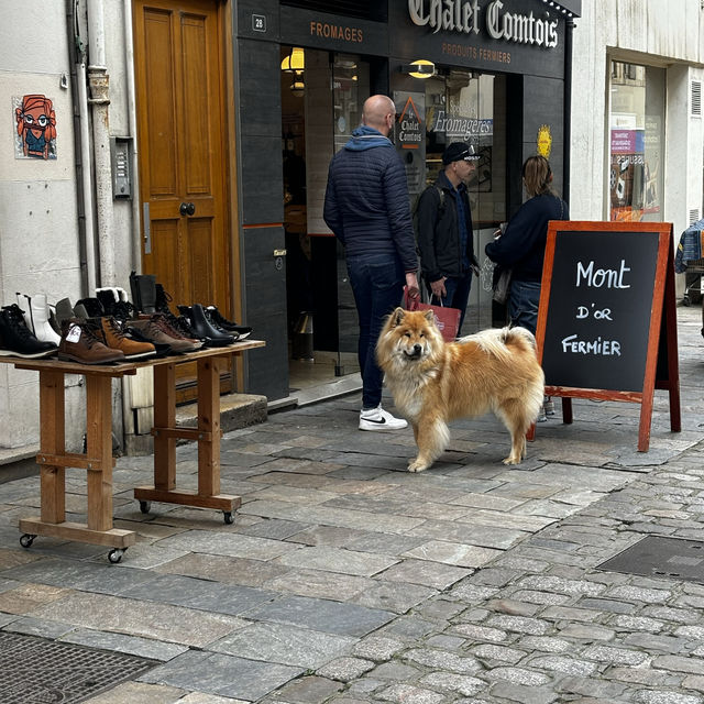 Dijon France. Famous for its vineyards and night bars 
