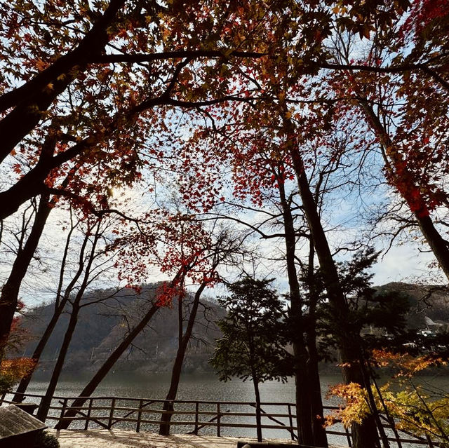 Autumn Splendor at Nami Island