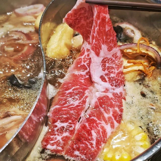 抵食💰滋味😋養生🍲火鍋