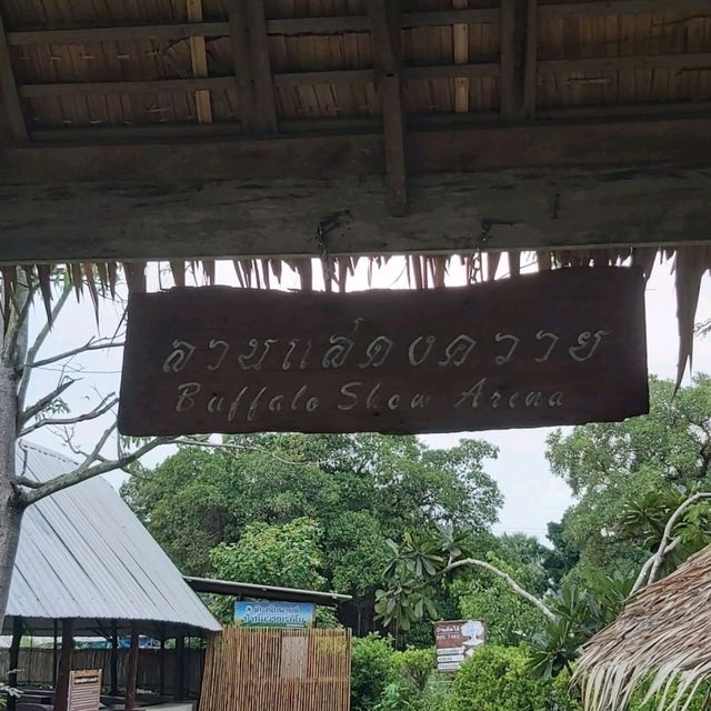 Thai Buffalo Village สุพรรณบุรี