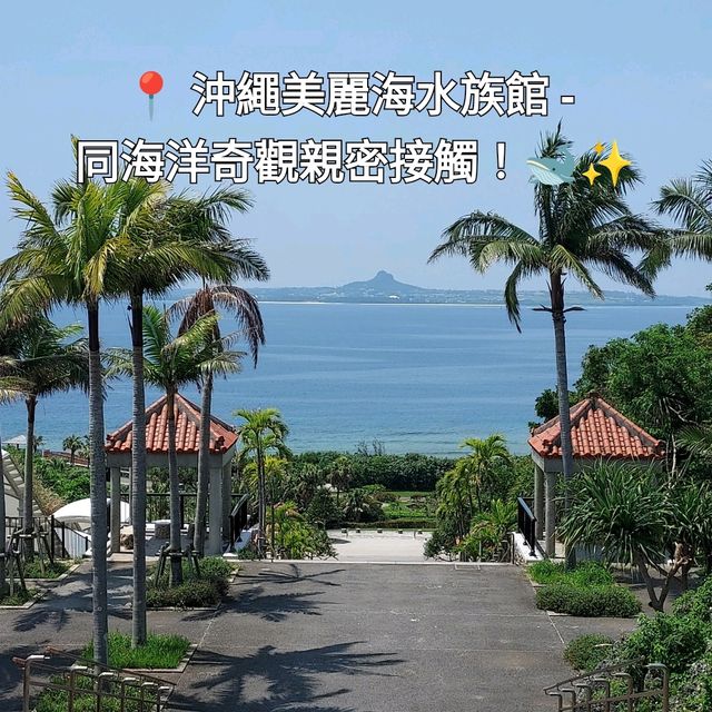 📍 沖繩美麗海水族館 - 同海洋奇觀親密接觸！🐋✨