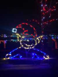 【コキットラム🇨🇦】冬の公園でイルミネーションを楽しもう⭐️