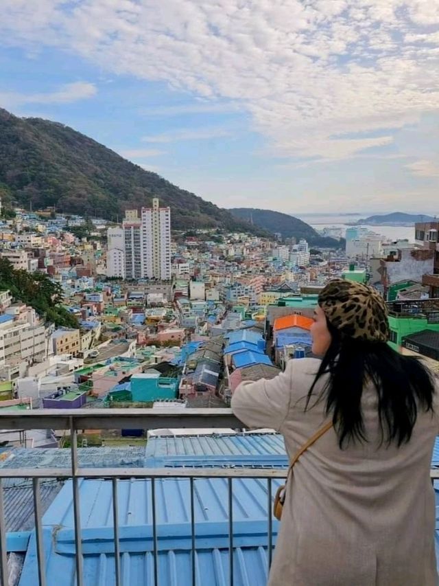 หมู่บ้านวัฒนธรรมคัมชอน (Gamcheon Culture Village)