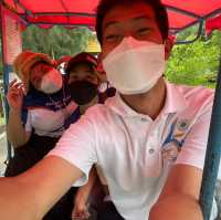 ท่องเที่ยวเชิงอนุรักษ์ที่ทุ่งโปรงทองปากน้ำประแส