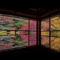 【日本・京都🇯🇵】京都の秋！美しい紅葉を見るならここ！