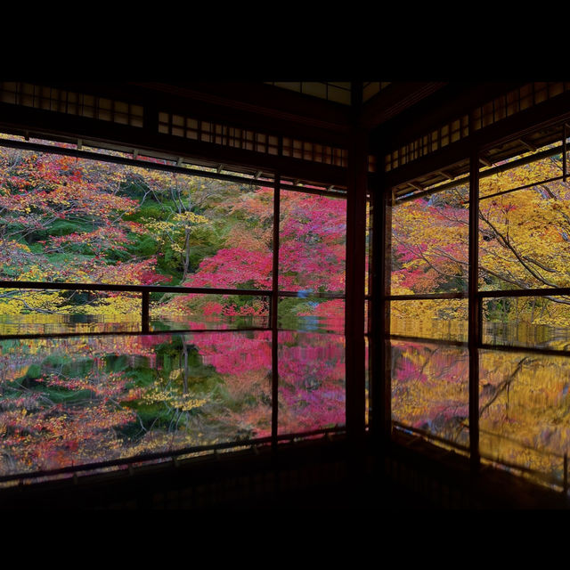 【日本・京都🇯🇵】京都の秋！美しい紅葉を見るならここ！