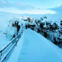 冰雪王國夢幻遊