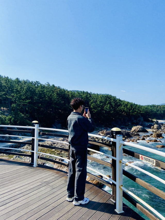 จุดชมวิวทะเลสุดปังแห่งโพฮัง! ⚓️🌊🇰🇷