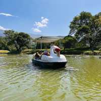 Nature’s Beauty and Timeless Charm: My Day at Taman Tasik Taiping!