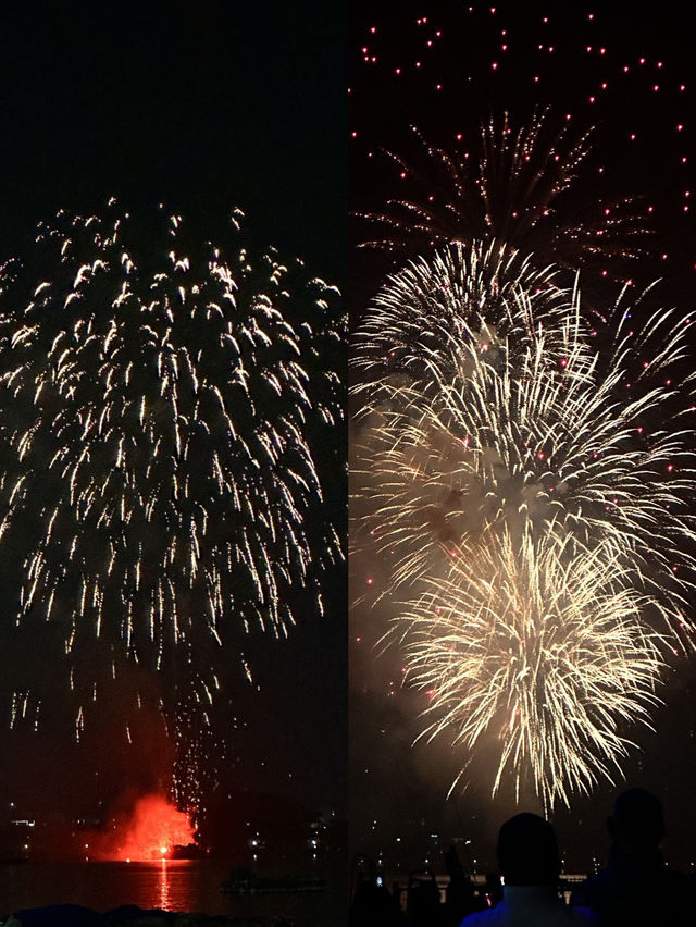 벚꽃축제가 정말 유명한 이 곳🌸