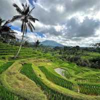 Jatiluwih Rice Terraces: A UNESCO World Heritage Gem