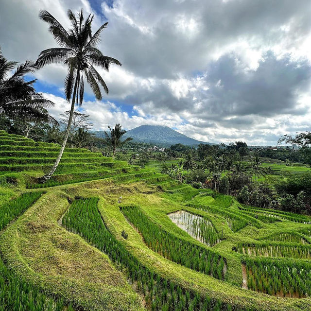 Jatiluwih Rice Terraces: A UNESCO World Heritage Gem