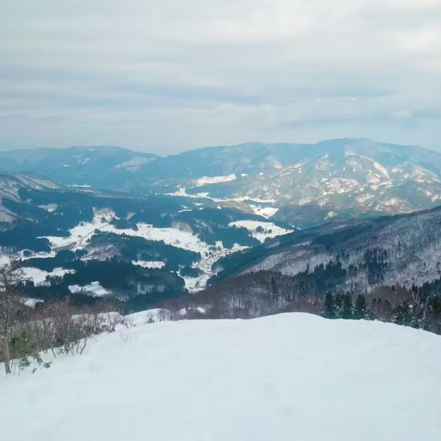 【兵庫】ハチ北スキー場