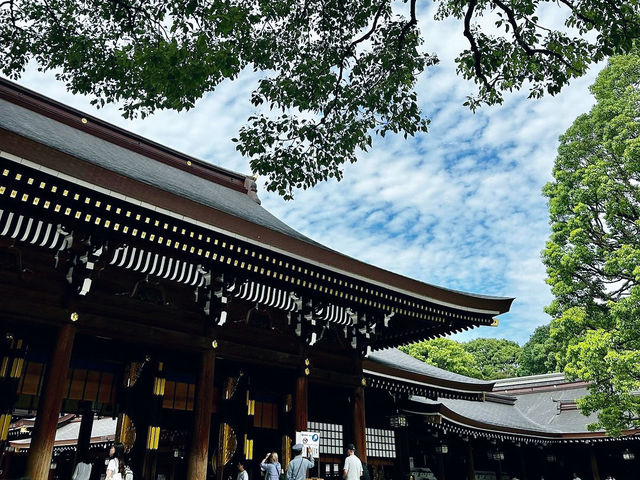 Tranquil Exploration at Meiji Jingu
