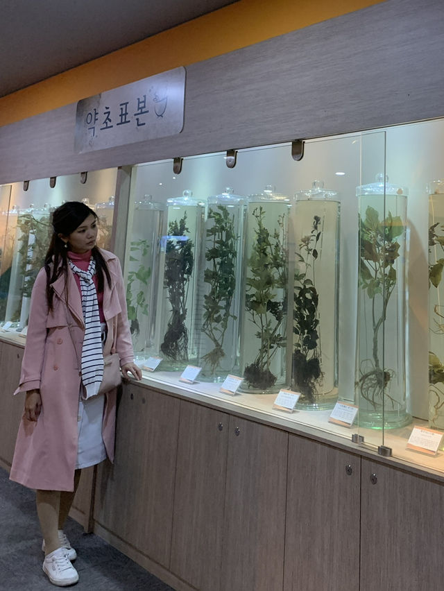 Step Into the Healing Past: A Visit to Yangnyeongsi Oriental Medicine Museum Step Into the Healing Past: A Visit to Yangnyeongsi Oriental Medicine Museum