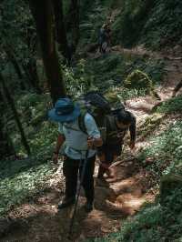 Mardi Himal 