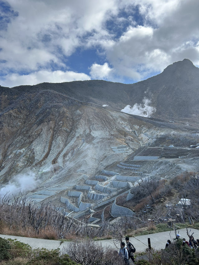 空中散歩で楽しむ絶景・箱根ロープウェイ🚡