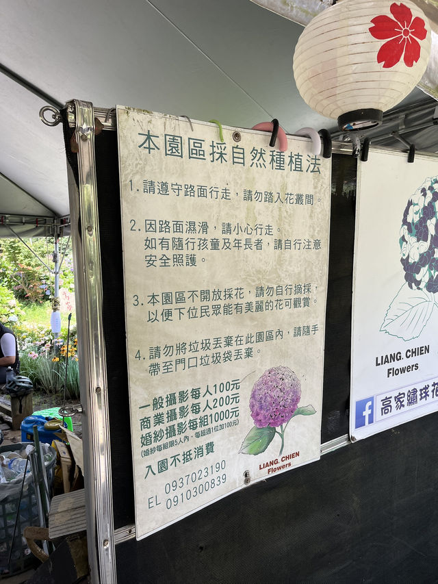 繡球花迷請收藏！台北打卡點分享📍