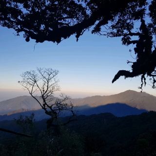 SA MU：穿越原始森林，探索 TAXUA 的新山峰