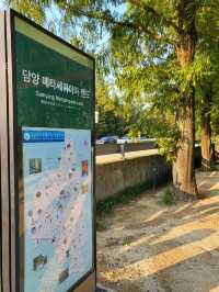 메타세콰이어와 맨발산책도 즐기는 담양여행지