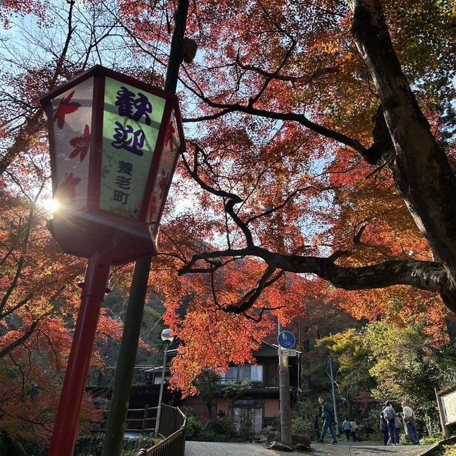 日本百名瀑　養老の滝