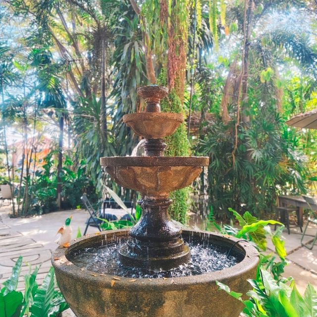 คาเฟ่ สไตล์สวนหลังบ้าน @ ชัยนาท