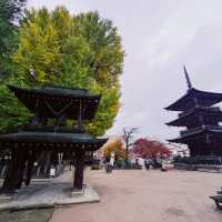Hida Kokubunji Temple