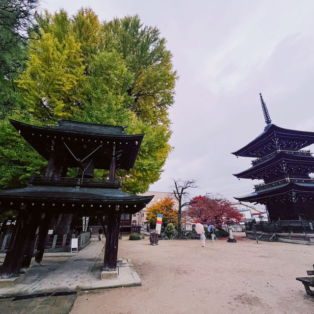 Hida Kokubunji Temple