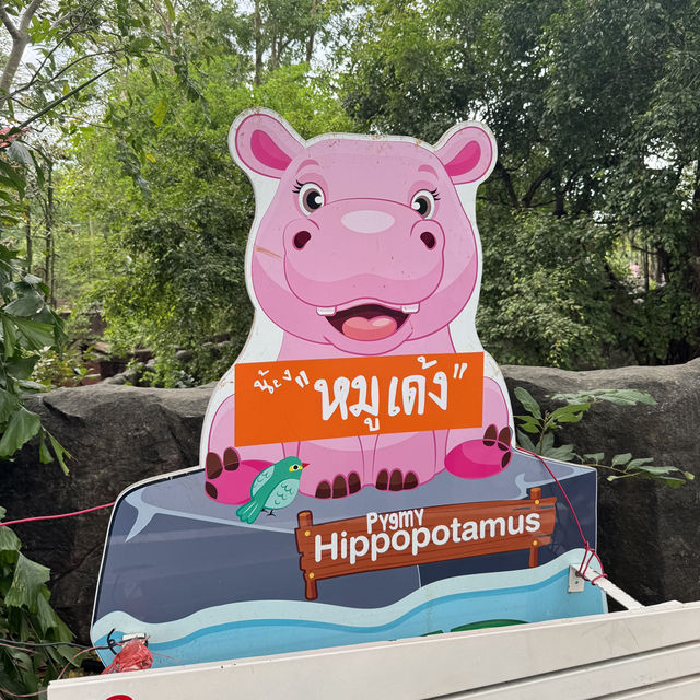 สวนสัตว์เปิดเขาเขียว – วันพักผ่อนใกล้ชิดธรรมชาติ🌷