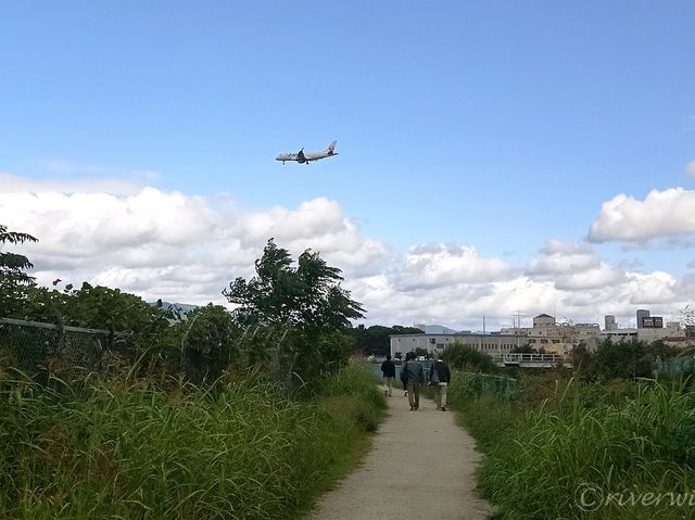 【大阪】頭上をすり抜ける迫力満点の飛行機！「千里川土手」