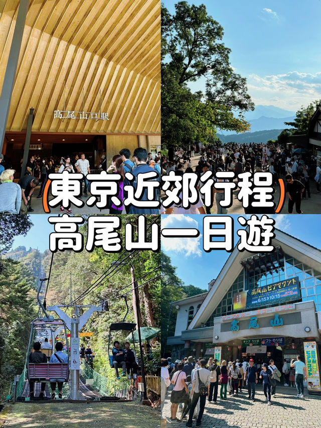 【東京近郊】高美山一日遊🌳玩盡纜車吊車🚡輕鬆登頂