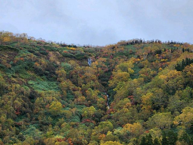 Tsugaike Nature Park