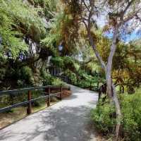 Waiotapu Thermal Wonderland: A Geothermal Marvel
