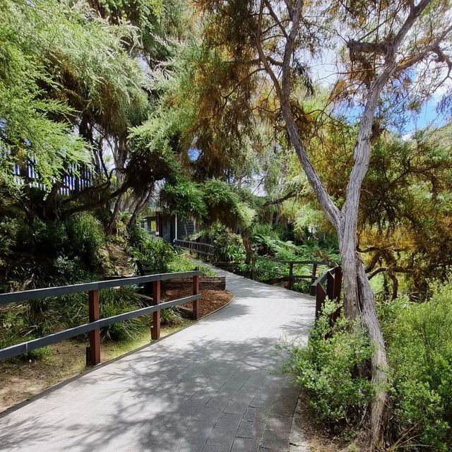 Waiotapu Thermal Wonderland: A Geothermal Marvel